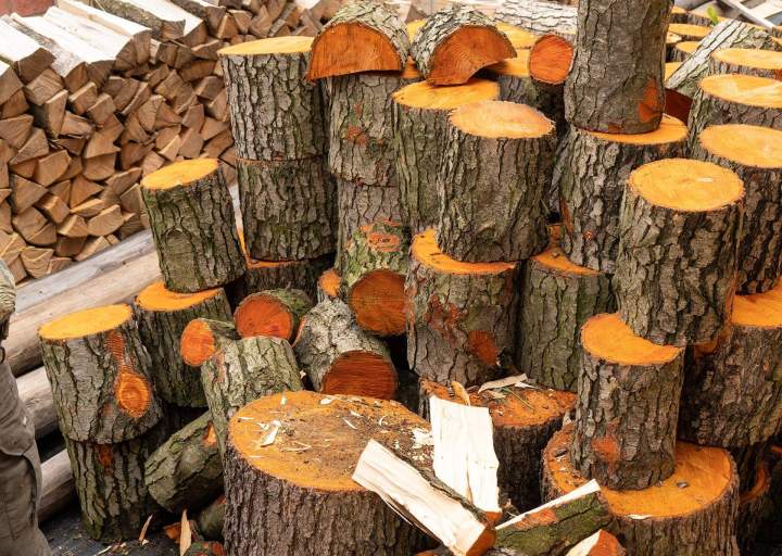 Bois de chauffage Lacanau