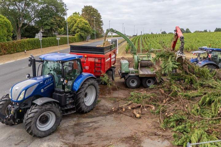Broyage d'arbre Médoc