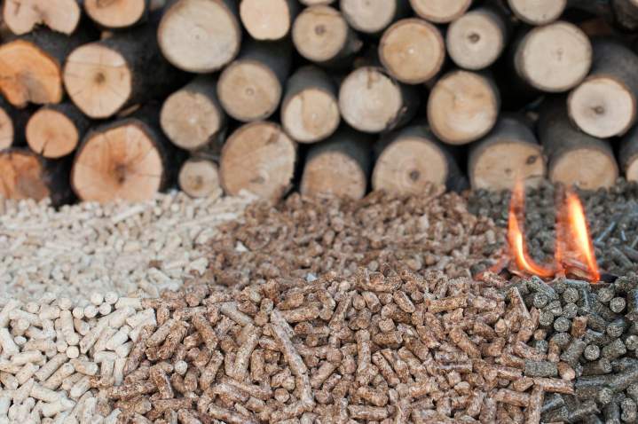 Granulés bois certifiés Pauillac